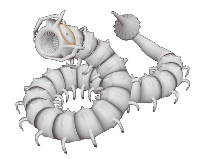 gusano